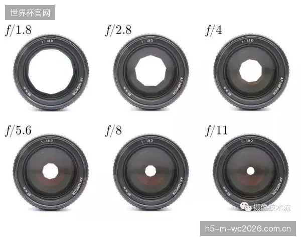 棒球外皮的厚度精度控制在1.4毫米±0.05毫米之间，是确保击球反弹系数（COR）稳定在0.55左右的关键物理基础